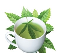 CBD Tee kaufen