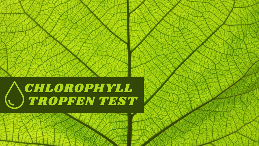 CHLOROPHYLL TROPFENN