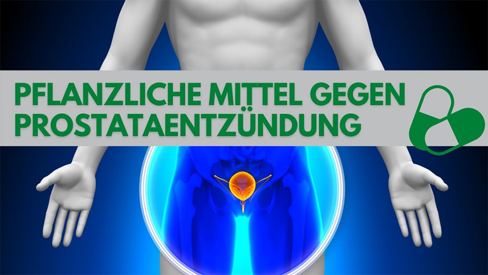 PFLANZLICHE MITTEL GEGEN PROSTATAENTZÜNDUNG