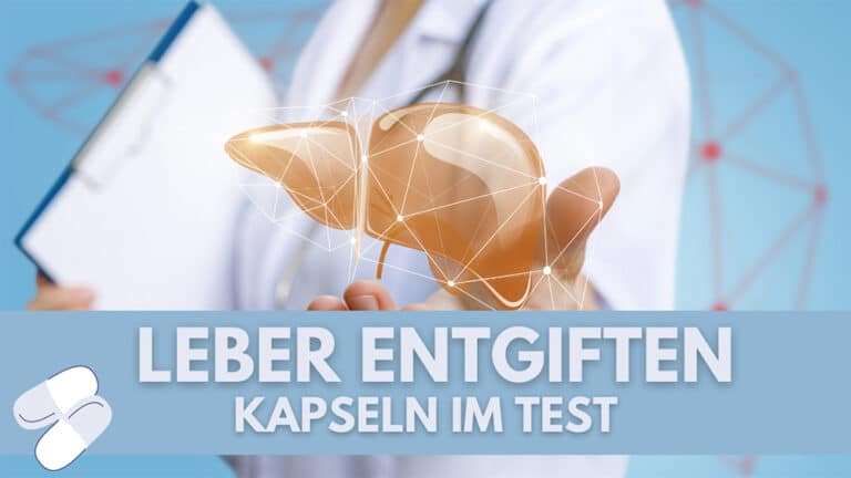 Kann Sich Die Leber Regenerieren www.allergie-elternmagazin.de