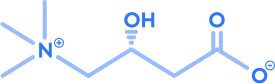 l-carnitin